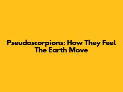 Pseudoscorpions: How They Feel The Earth Move
