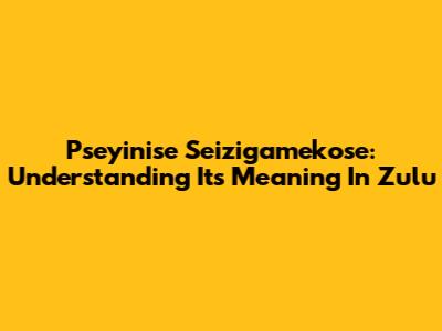 Pseyinise Seizigamekose: Understanding Its Meaning In Zulu