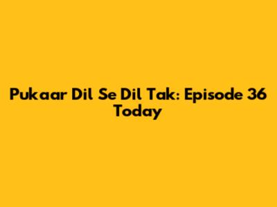 Pukaar Dil Se Dil Tak: Episode 36 Today