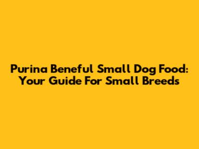 Purina Beneful Small Dog Food: Your Guide For Small Breeds