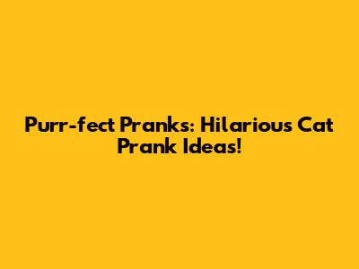 Purr-fect Pranks: Hilarious Cat Prank Ideas!