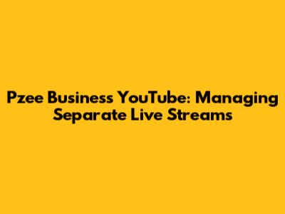 Pzee Business YouTube: Managing Separate Live Streams