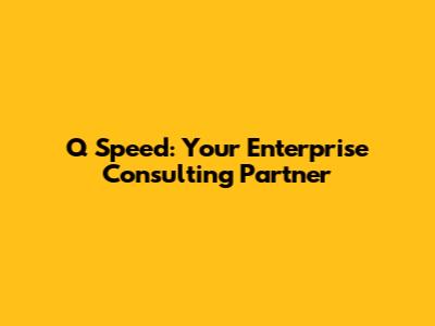 Q Speed: Your Enterprise Consulting Partner