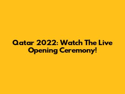 Qatar 2022: Watch The Live Opening Ceremony!