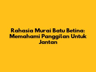 Rahasia Murai Batu Betina: Memahami Panggilan Untuk Jantan