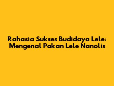 Rahasia Sukses Budidaya Lele: Mengenal Pakan Lele Nanolis