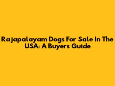 Rajapalayam Dogs For Sale In The USA: A Buyer's Guide