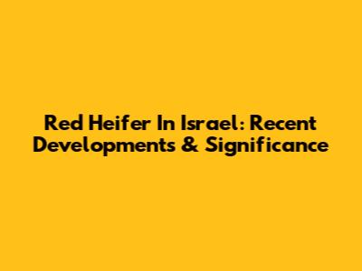 Red Heifer In Israel: Recent Developments & Significance