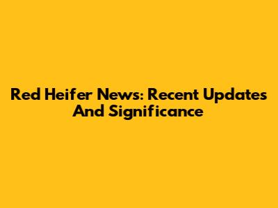 Red Heifer News: Recent Updates And Significance