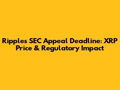 Ripple's SEC Appeal Deadline: XRP Price & Regulatory Impact