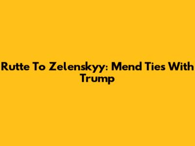 Rutte To Zelenskyy: Mend Ties With Trump