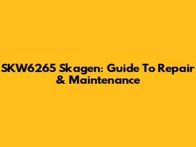 SKW6265 Skagen: Guide To Repair & Maintenance