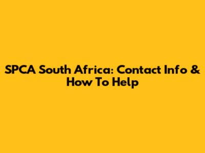 SPCA South Africa: Contact Info & How To Help
