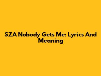 SZA "Nobody Gets Me": Lyrics And Meaning