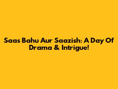 Saas Bahu Aur Saazish: A Day Of Drama & Intrigue!