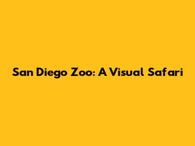 San Diego Zoo: A Visual Safari