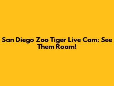 San Diego Zoo Tiger Live Cam: See Them Roam!