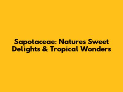 Sapotaceae: Nature's Sweet Delights & Tropical Wonders