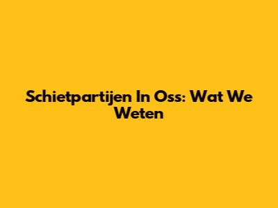 Schietpartijen In Oss: Wat We Weten