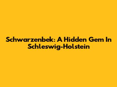 Schwarzenbek: A Hidden Gem In Schleswig-Holstein