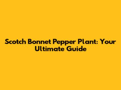Scotch Bonnet Pepper Plant: Your Ultimate Guide