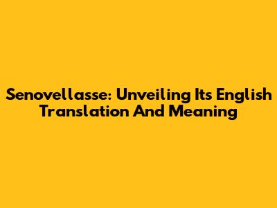 Senovellasse: Unveiling Its English Translation And Meaning