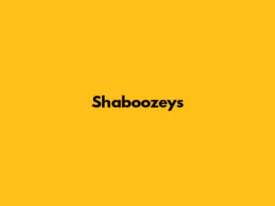 Shaboozey's 