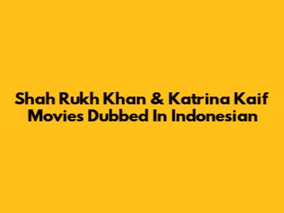 Shah Rukh Khan & Katrina Kaif Movies Dubbed In Indonesian
