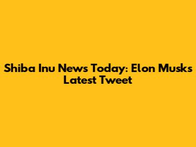 Shiba Inu News Today: Elon Musk's Latest Tweet