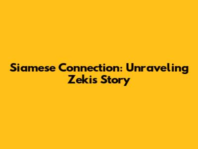 Siamese Connection: Unraveling Zeki's Story