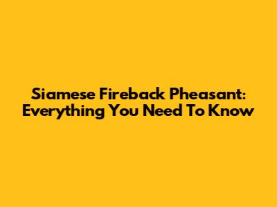 Siamese Fireback Pheasant: Everything You Need To Know