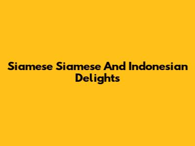 Siamese Siamese And Indonesian Delights
