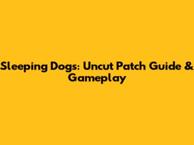 Sleeping Dogs: Uncut Patch Guide & Gameplay