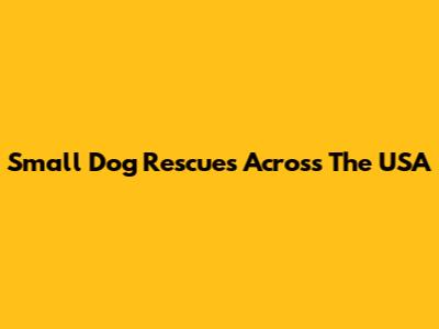 Small Dog Rescues Across The USA