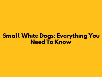 Small White Dogs: Everything You Need To Know