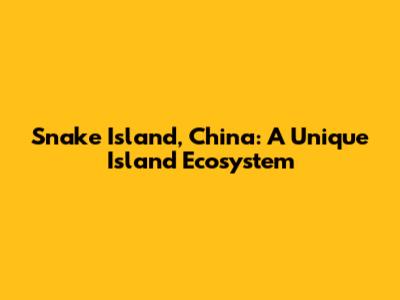 Snake Island, China: A Unique Island Ecosystem