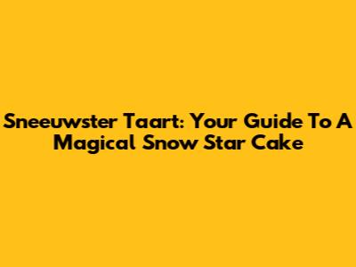 Sneeuwster Taart: Your Guide To A Magical Snow Star Cake