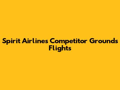 Spirit Airlines Competitor Grounds Flights