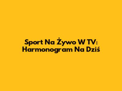Sport Na Żywo W TV: Harmonogram Na Dziś