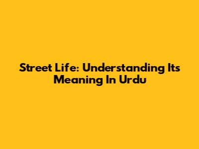 Street Life: Understanding Its Meaning In Urdu