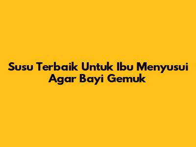 Susu Terbaik Untuk Ibu Menyusui Agar Bayi Gemuk