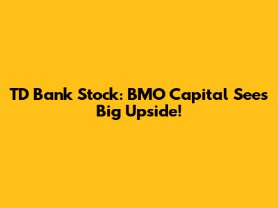 TD Bank Stock: BMO Capital Sees Big Upside!