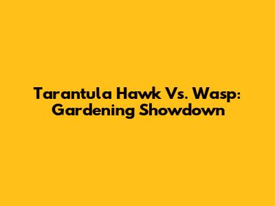 Tarantula Hawk Vs. Wasp: Gardening Showdown