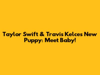 Taylor Swift & Travis Kelce's New Puppy: Meet Baby!