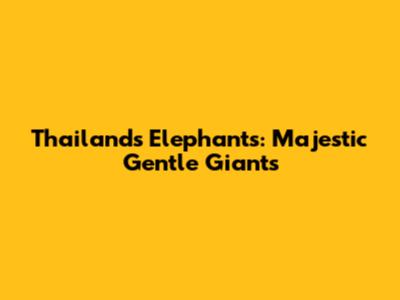 Thailand's Elephants: Majestic Gentle Giants