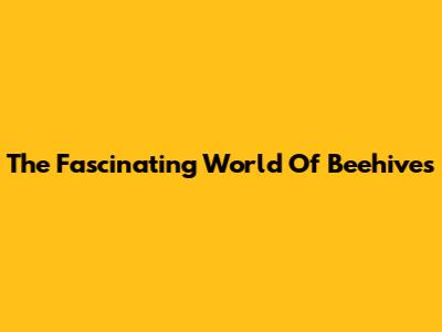 The Fascinating World Of Beehives