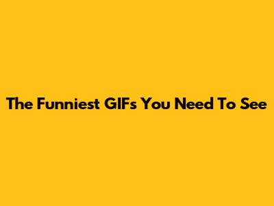 The Funniest GIFs You Need To See