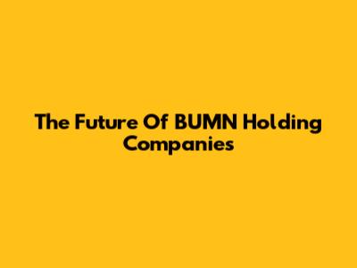 The Future Of BUMN Holding Companies