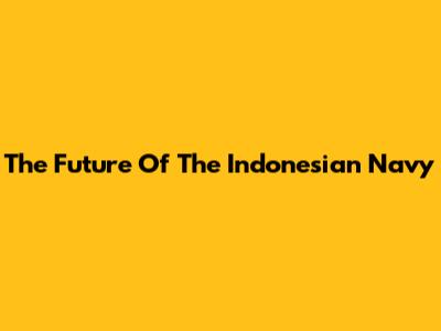 The Future Of The Indonesian Navy