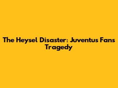 The Heysel Disaster: Juventus Fans' Tragedy